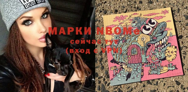 хмурый Надым