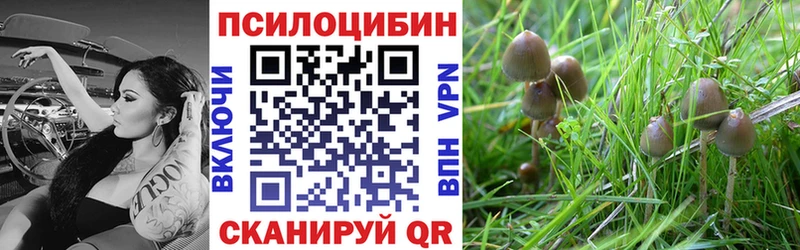 Галлюциногенные грибы Magic Shrooms  как найти закладки  Власиха 